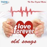 Love Forever - Maya Banerjee Song Download